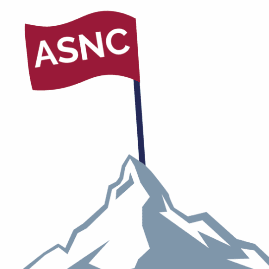 LDP icon LDP Mountain Logo