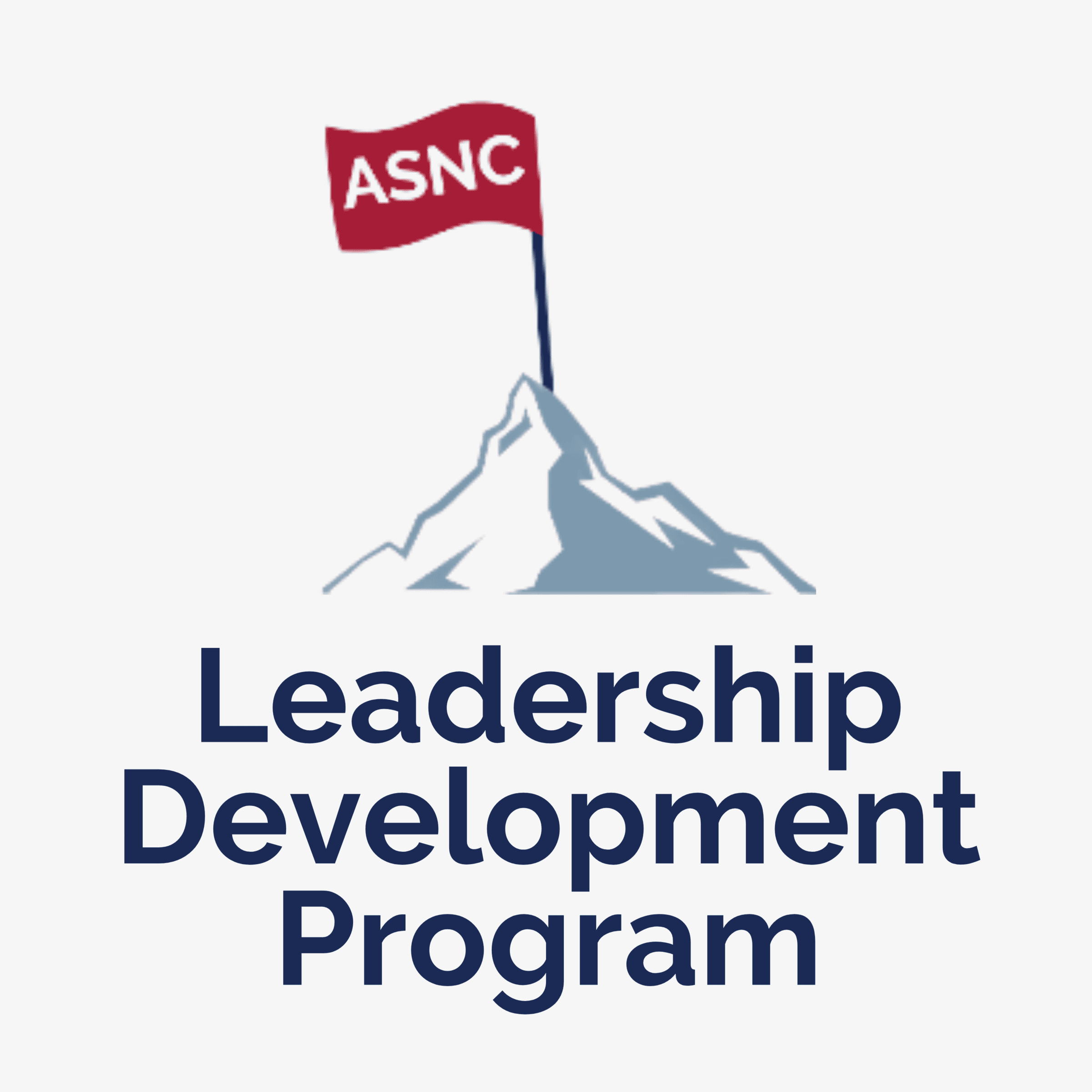 Leadership-Development-Program-Square-Gray Leadership-Development-Program-Square-Gray